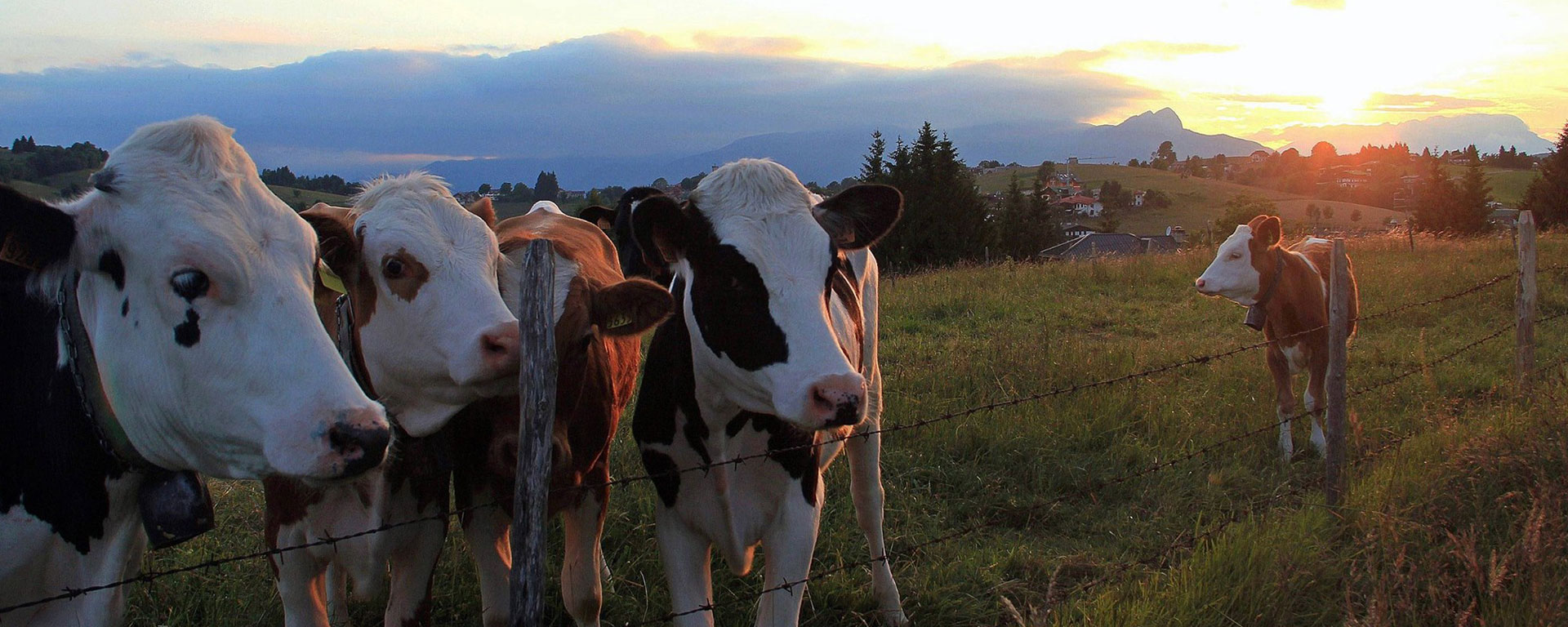 altopiano di asiago territorio natura incontaminat